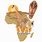 African Animal Illustrations