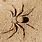 African Sand Spider