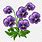 African Violet Flower Clip Art