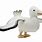 Albatross Plush Toy