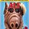 Alf DVD