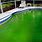 Algae in Pool