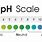 Alkaline pH Scale