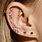 All Ear Piercings
