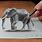 Amazing 3D Drawings Funny
