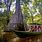 Amazon River Basin Tour