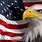 American Eagle USA Flag