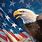 American Eagle Wallpaper 4K