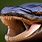 Anaconda Teeth