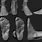 Anatomy Human Foot Reference