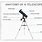 Anatomy of a Telescope