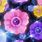 Animated Colorful Flowers