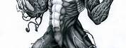 Anti Venom Drawings Full Body