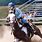 Appaloosa Horse Barrel Racing