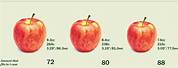 Apple Fruit Size