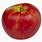 Apple Fruit Wikipedia