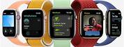 Apple Watch All Series