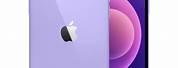 Apple iPhone 12 Purple Color