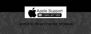 Apple iPhone Support Phone Number
