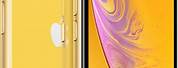 Apple iPhone XR Specifications and Price