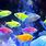 Aquarium Neon Fish Wallpaper