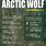 Arctic Wolf Size