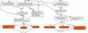 Asthma and COPD Concept Map