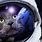 Astronaut Cat Meme