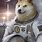 Astronaut Dog Meme