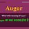 Augur Meaning