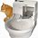 Automatic Cleaning Cat Litter Box