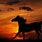 Awesome Horse Backgrounds