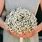 Baby's Breath Wedding Bouquet