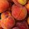 Baby Peach Fruit