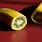 Banana Kiwi Hybrid