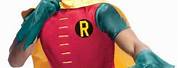 Batman Robin Costume