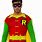 Batman Robin Costume