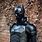 Batman Suit Back Photo