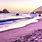 Beach with Purple Sand