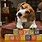 Beagle Birthday Meme