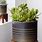 Beautiful Indoor Plant Pots