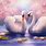 Beautiful Swan Paintings