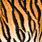 Bengal Tiger Fur