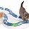 Best Cat Exercise Toys