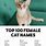 Best Cat Names for Girl