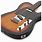 Best Electric 12 String Guitar