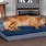 Best Gel Dog Beds Cool
