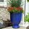 Best Outdoor Plant Pots