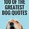 Big Dog Quotes