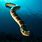 Big Sea Snake